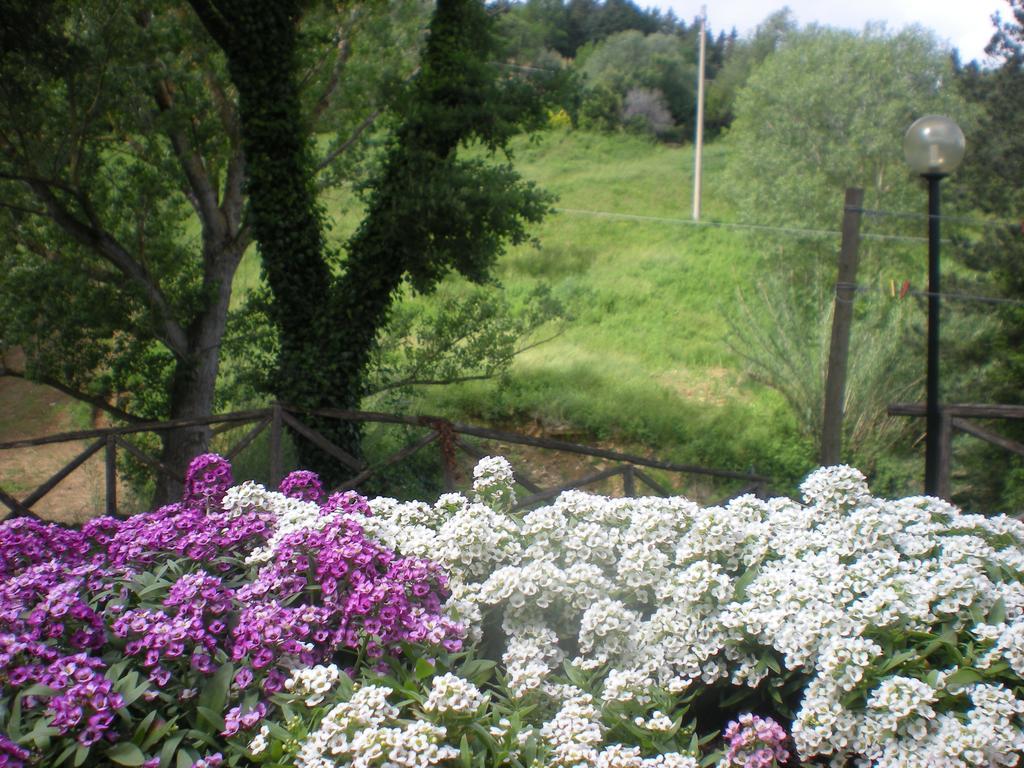 Agriturismo La Baroncella Montemerano Ruang foto